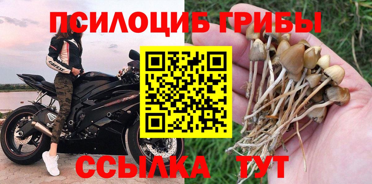 Галлюциногенные грибы Magic Shrooms Озёрск