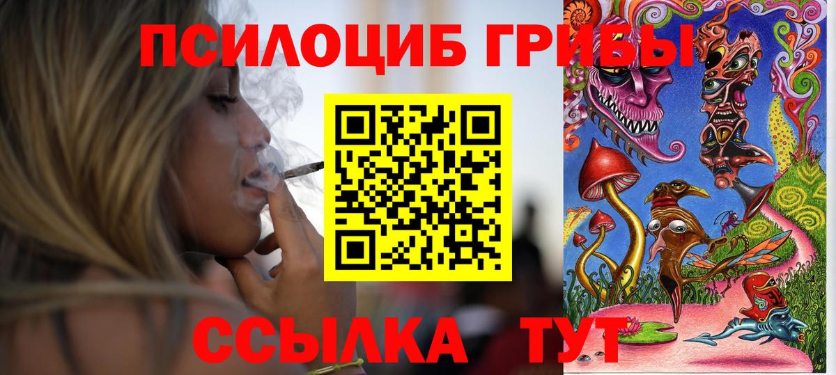 продажа наркотиков  Псилоцибиновые грибы Magic Shrooms  Озёрск  Вход с VPN  Псилоцибиновые грибы Psilocybine cubensis 